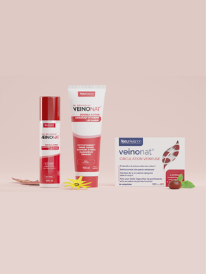 Circulation veineuse